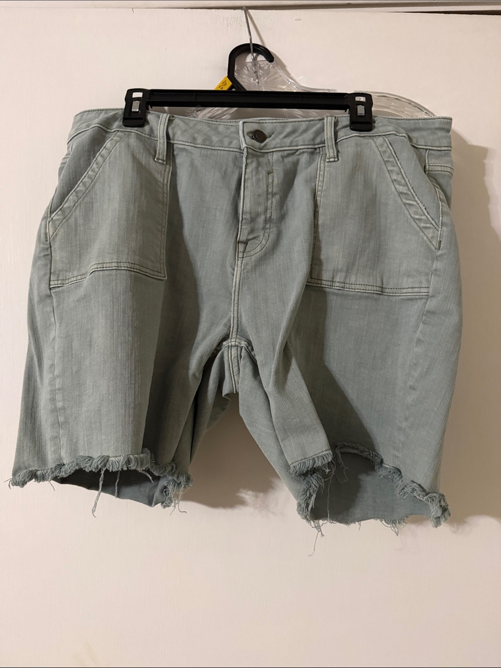 Vigoss Sage Green Frayed Hem Denim Shorts